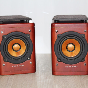 Mini kolumny JVC SP-EXAK1 Wood Cone