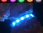 Ładowalna odblaskowa obroża dla psa LED USB Pawow – zdjęcie 1