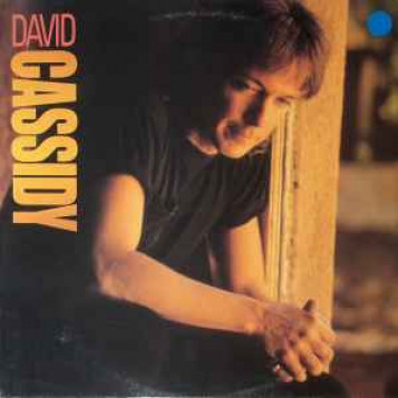 Płyta kompaktowa muzyka David Cassidy - Lyin' To Myself CD