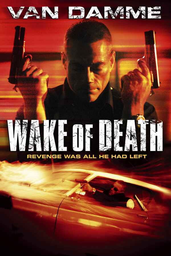 Płyta kompaktowa film Mściciel Wake of Death 2004 DVD