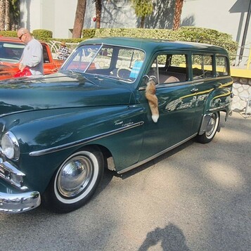 Zielony Plymouth Suburban z 1950 roku – dwudrzwiowe kombi w butelkowej zieleni