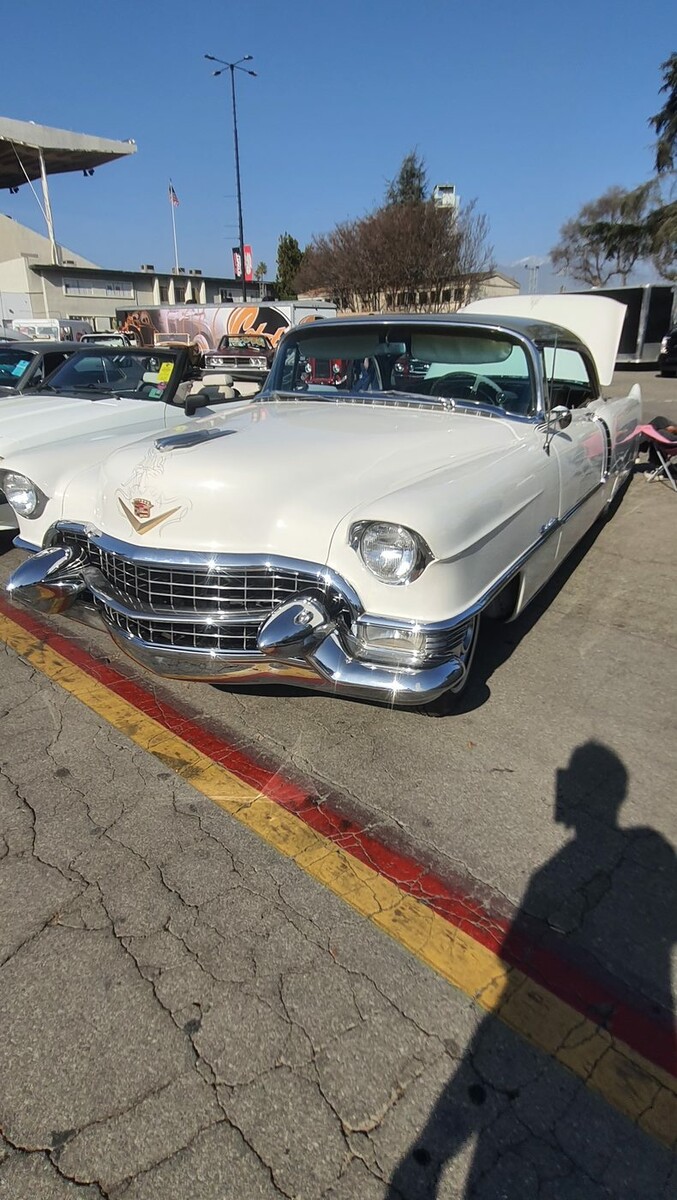 Biały Cadillac z 1955 roku – chromowane „Dagmary” i atrapa egg-crate w kolorze śniegu