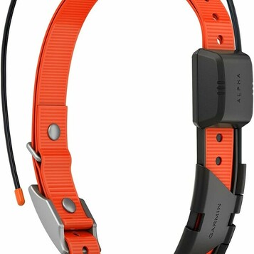 Garmin Alpha TT 25 – obroża GPS do śledzenia i treningu psów