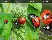 Soczewka makro +4 67mm Walking Way, stan: nowy – zdjęcie 4