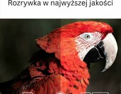 Orbsmart OS-GD1 przystawka Smart TV Stick 4K HDR, Android TV 14 – zdjęcie 5