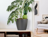 Relaxdays nawadniacz ceramiczny 4 szt. - stożki do podlewania roślin – zdjęcie 2