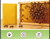 Ręczna walcarka do węzy pszczelej 280 mm, stop aluminium – zdjęcie 2