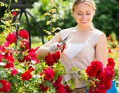 Relaxdays Trejaż ogrodowy 2 szt. 139/149 cm, czarny, podpora do pnączy – zdjęcie 3