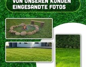 ARPON Nasiona trawy na tereny suche 5 kg, na 200 m² – zdjęcie 4