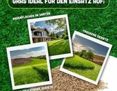 ARPON Nasiona trawy na tereny suche 5 kg, na 200 m² – zdjęcie 5