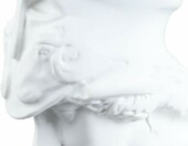 Durlo Zestaw 3 rzeźb greckich głów, żywica, biały – zdjęcie 4
