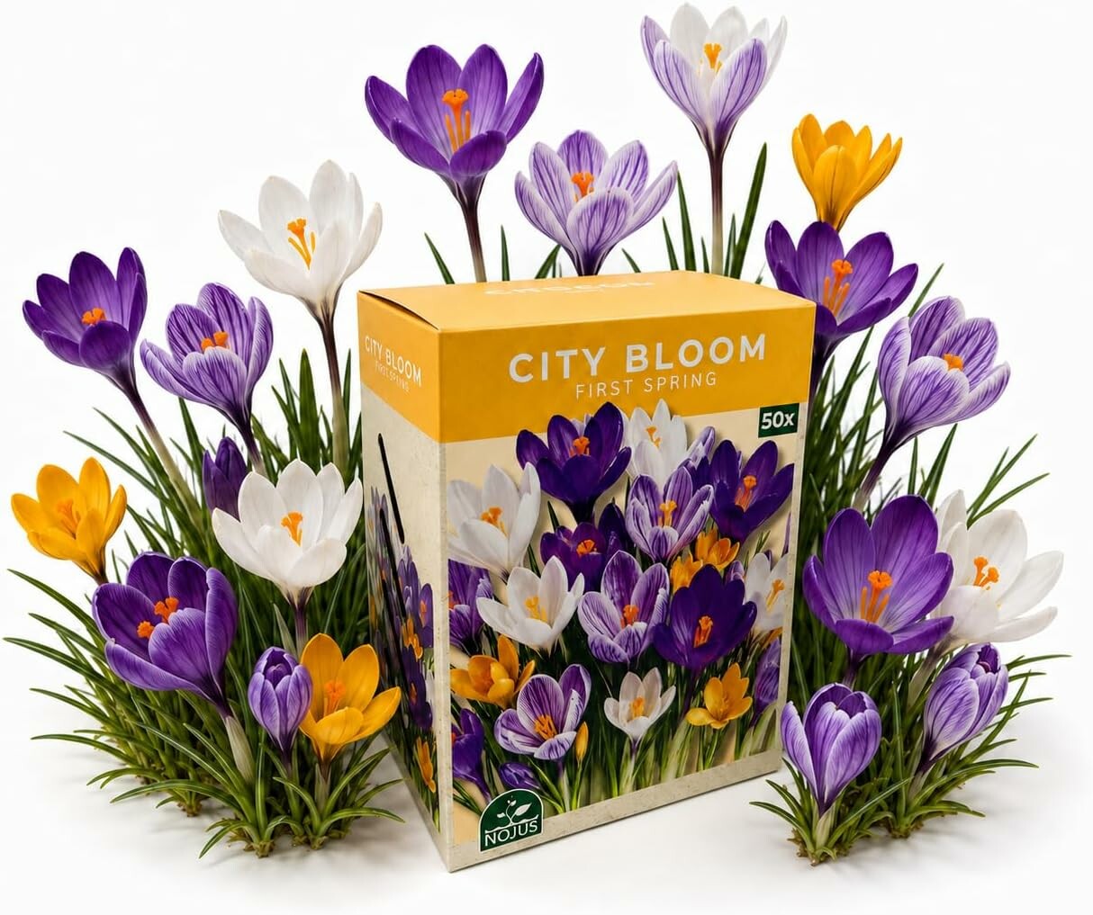 Nojus Cebulki krokusów mix 50 szt. City Bloom First Spring