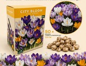 Nojus Cebulki krokusów mix 50 szt. City Bloom First Spring – zdjęcie 3