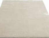 the carpet Relax – puszysty dywan do salonu 300x400 cm, beżowy – zdjęcie 4