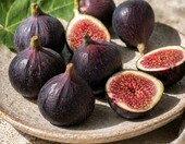 Ficus carica Drzewko figowe mrozoodporne 70-100 cm, do ogrodu – zdjęcie 3