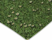 casa pura Wykładzina PCV Daisies 200x200 cm, łąka kwiatowa, na metry – zdjęcie 3
