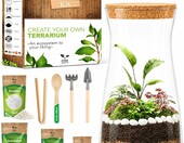 PYEF CRAFTS Zestaw DIY las w słoiku – terrarium ze szklanym słojem – zdjęcie 1