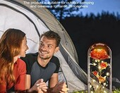 Touloube wieczna róża LED w szklanej kopule – ozdoba walentynkowa – zdjęcie 4