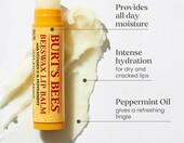 Burt's Bees Bit of Burts - zestaw 4 balsamow do ust – zdjęcie 3