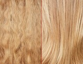 Olaplex No.5 Bond Maintenance 250 ml - odzywka do wlosow – zdjęcie 3