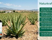 GREENDOOR Aloe Vera Bio spray kojący po opalaniu 250 ml – zdjęcie 2