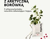 Lunette Chusteczki do higieny intymnej pH-zrównoważone 20 szt. – zdjęcie 3