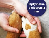 Canosept Spray do pielegnacji ran dla psow, 75 ml – zdjęcie 3