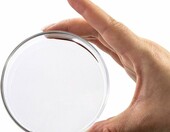 QWORK Szalki Petriego szklane z pokrywka 90x20 mm, 5 szt. – zdjęcie 4