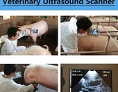 YANDDEA Przenosny ultrasonograf weterynaryjny typu B – zdjęcie 2