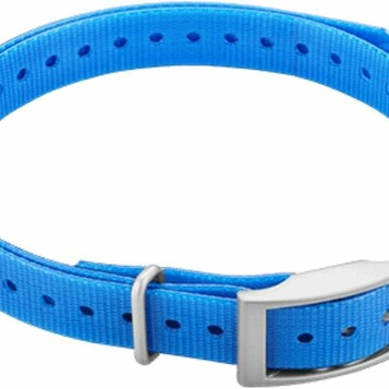 Garmin Delta – zamienny pasek obroży treningowej, niebieski 19 mm