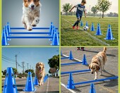 all Pets United zestaw 2 płotków agility dla psa, regulowana wysokość – zdjęcie 2