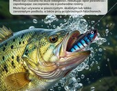 Komplet 5 przynęt silikonowych Eulihent (stan nowy) – zdjęcie 4