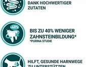 Purina ONE Adult – sucha karma dla kotów z łososiem, 9,75 kg – zdjęcie 2