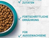 Purina ONE Adult – sucha karma dla kotów z łososiem, 9,75 kg – zdjęcie 3