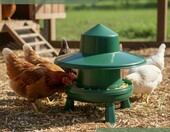 Agrarzone Eco automatyczny karmnik dla drobiu 4 kg z osłoną przeciwdeszczową – zdjęcie 2