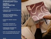 Kalendarz ścienny rodzinny Busy B 2026, 5 kolumn, z kieszeniami i naklejkami – zdjęcie 3