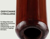 Meinl DDG1-R Didgeridoo bambusowe, czerwone, 120 cm – zdjęcie 4