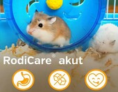 Alfavet RodiCare Akut 15 ml – preparat ziołowy dla gryzoni i królików – zdjęcie 3