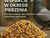 GiDeli karma dla gołębi 10 kg – mieszanka na okres pierzenia – zdjęcie 2