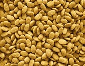 Versele-Laga NutriBird P15 Original 1 kg - karma granulowana dla papug – zdjęcie 3