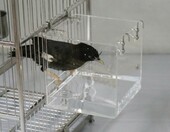 GURECOD wisząca kąpielówka dla ptaków - wanienka do klatki, akryl – zdjęcie 5
