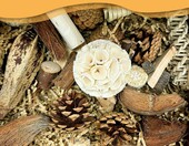 Felicify zestaw zabawek do żucia dla papug - naturalne drewno – zdjęcie 3