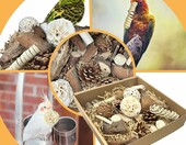Felicify zestaw zabawek do żucia dla papug - naturalne drewno – zdjęcie 4