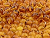 Amber Culture Koraliki bursztynowe 5 mm – naturalny bursztyn bałtycki – zdjęcie 5