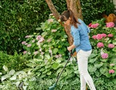 Bosch EasyGrassCut 23 - podkaszarka elektryczna 280W, szerokość cięcia 23 cm – zdjęcie 2