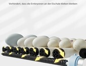 Fudajo 65585 – automatyczna wylęgarka na 30 jaj, 40 W – zdjęcie 5
