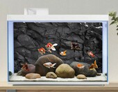 AWERT Tło do akwarium 91 x 50 cm – winylowe tło z motywem czarnej skały – zdjęcie 4