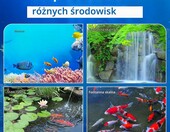 SWAWIS Sterylizator UV 13 W do akwarium – zanurzalna lampa UV z osłoną i przyssawką – zdjęcie 5