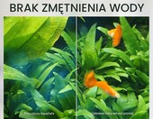 Tetra T704183 5 l – uzdatniacz wody do akwarium słodkowodnego i morskiego – zdjęcie 5