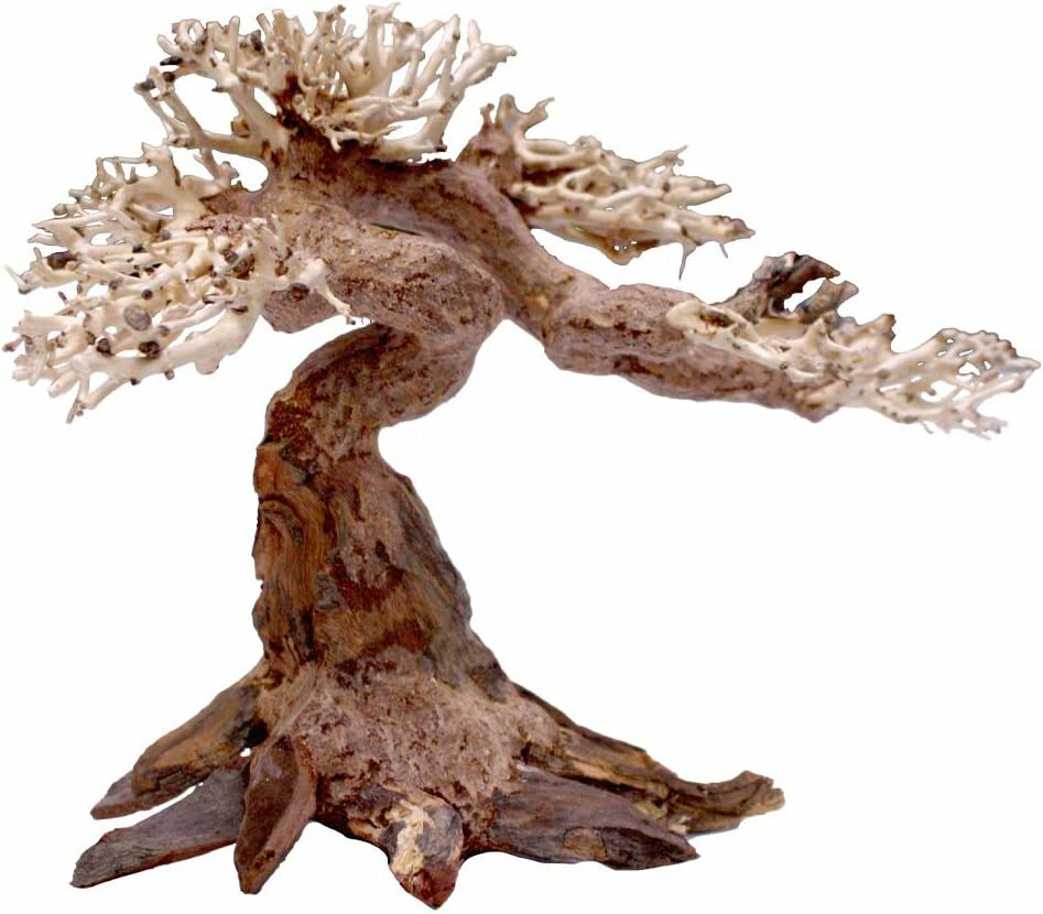 Amtra Oriental Wind 5 – naturalny korzeń do akwarium, 25 x 10 x 18 cm